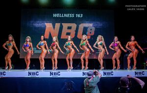 WELLNESS 163